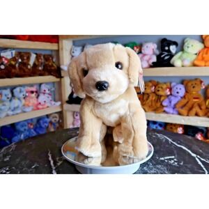 TY Beanie Buddy - Fetch the Dog | MWMT | Vintage | Rare